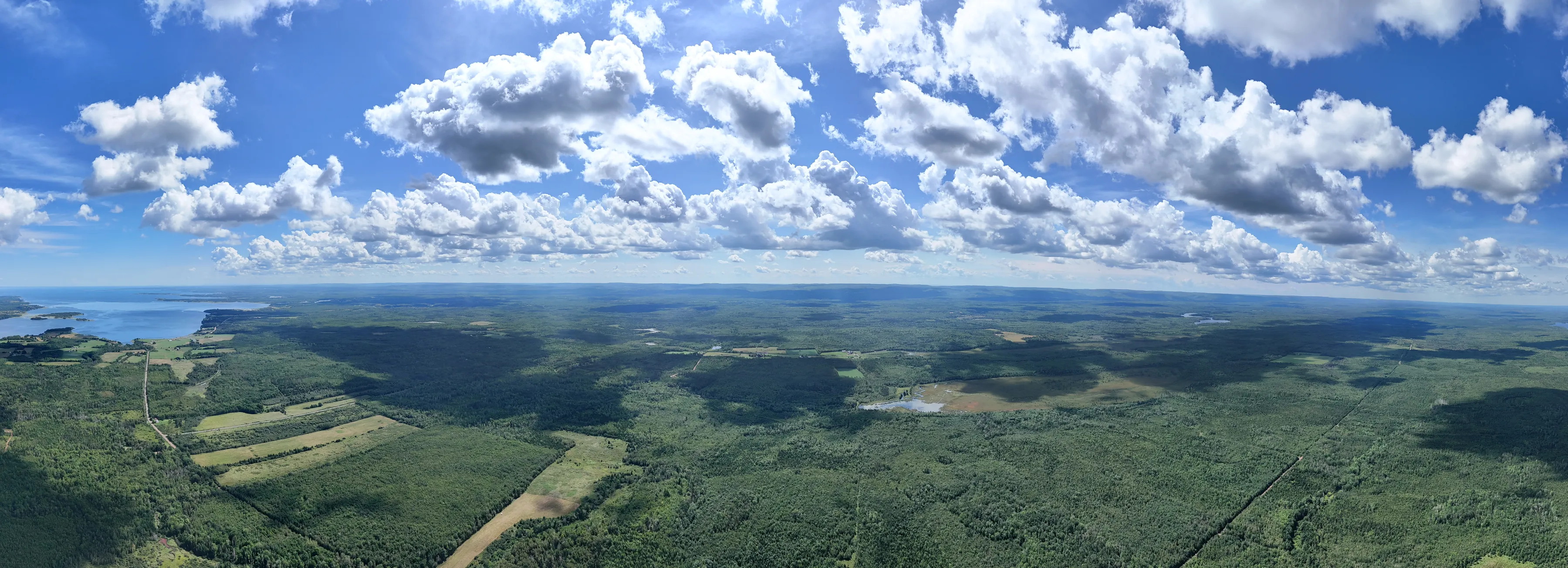 Aerial panorama over a wide forest landscape with fields, a wetland and a coastal inlet under summer clouds