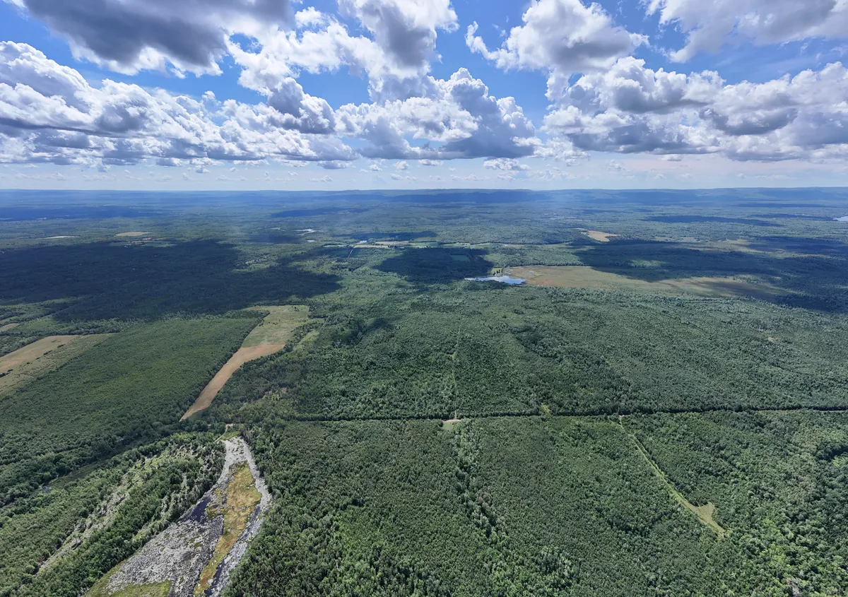 High aerial view over forest stands, fields and trails toward a distant ridge