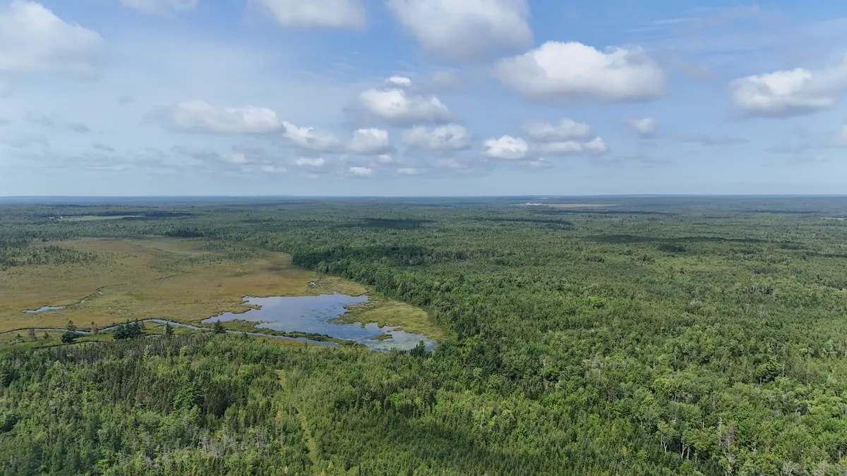 Aerial view of an open wetland with a small pond, surrounded by dense forest